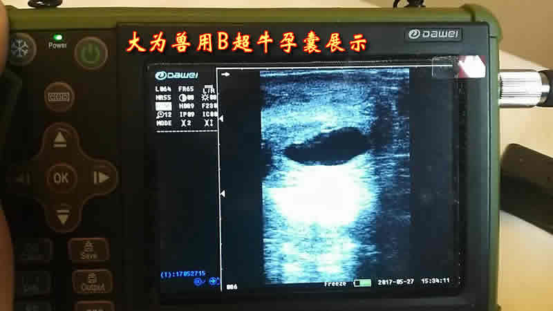 獸用b超,農閑時節掙錢