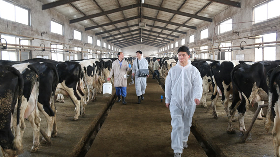 獸用B超,動物B超機(jī),牛用B超機(jī)