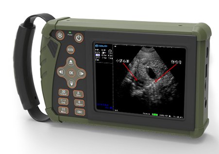 獸用B超機(jī),獸用b超,獸用孕檢B超,母豬B超,羊B超,母牛B超