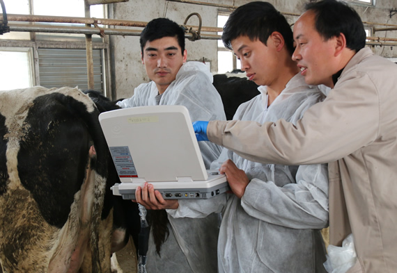 獸用B超機(jī),獸用b超,獸用孕檢B超,羊B超