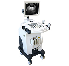 獸用B超機-全數字動物寵物超聲診斷儀