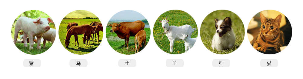 獸用B超機(jī)適用對(duì)象